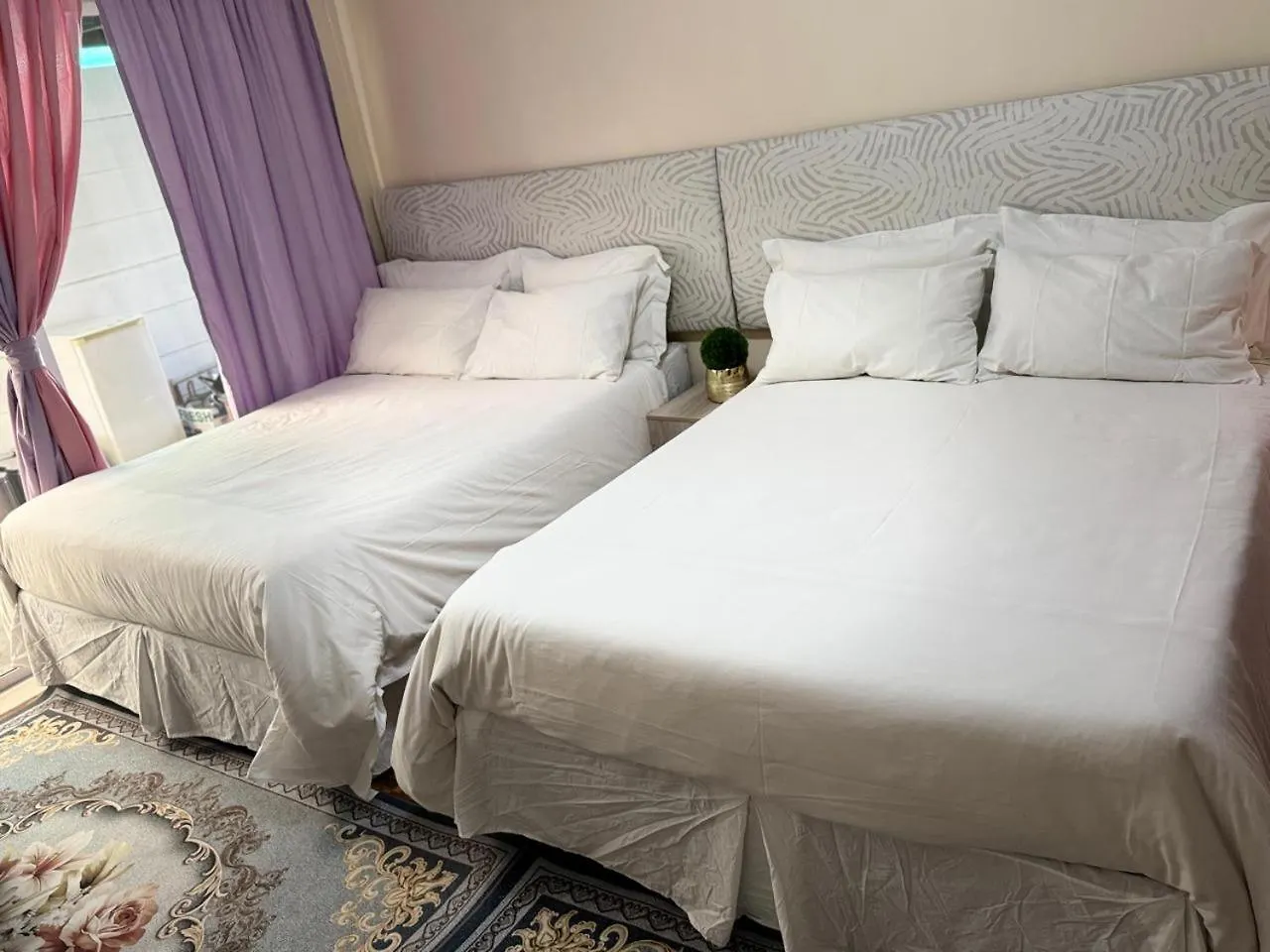 Konukevi Miches House Otel Cape Town