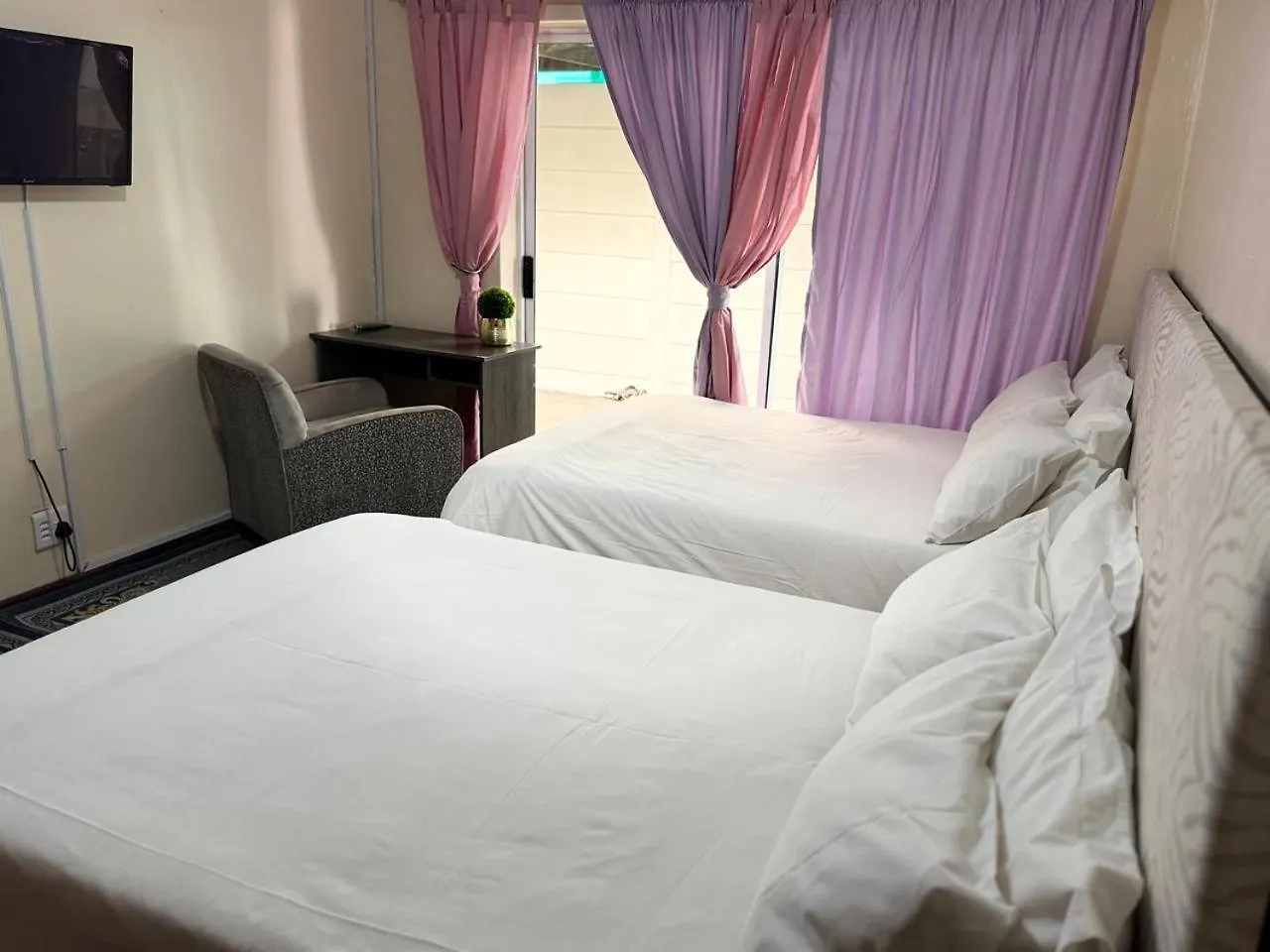 Konukevi Miches House Otel Cape Town Güney Afrika